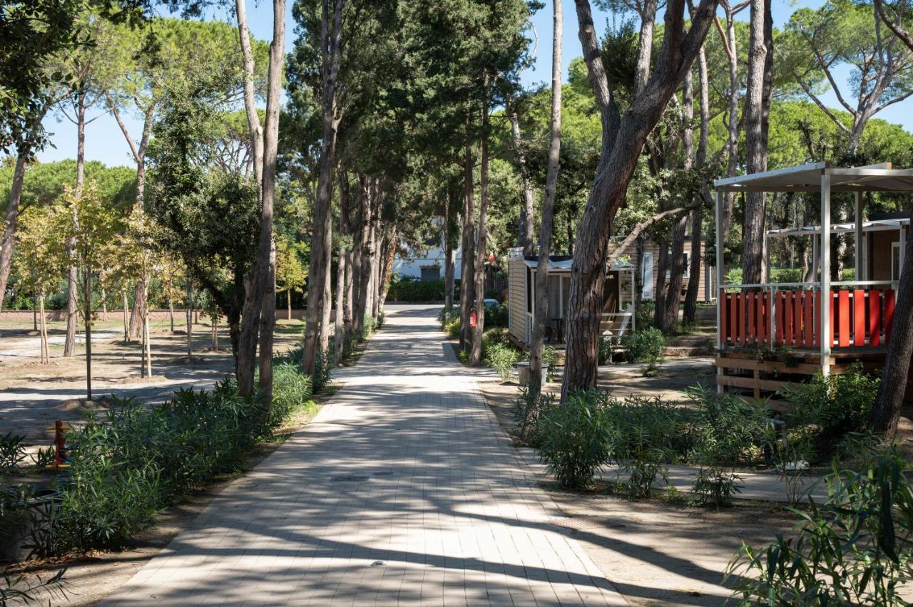 Camping Il Capannino Glamping Village Марина-ди-Биббона Экстерьер фото